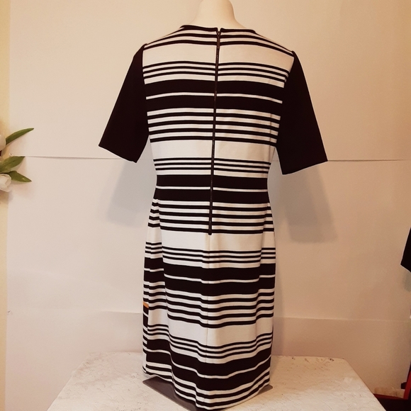 Black/Cream Striped Donna Ricco Dress - Picture 3 of 10